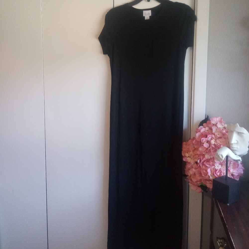 Ann taylor Loft size M